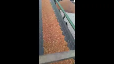 Grain Cleaning System Wheat Corn Cleaning Screen Grain Sieving Machine